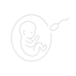 Fertility Nutrition